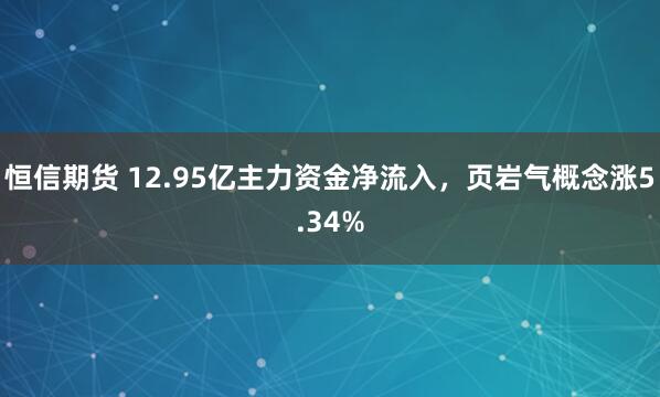 恒信期货 12.95亿主力资金净流入，页岩气概念涨5.34%