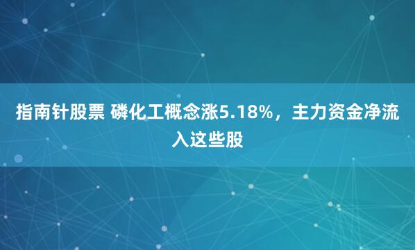 指南针股票 磷化工概念涨5.18%，主力资金净流入这些股