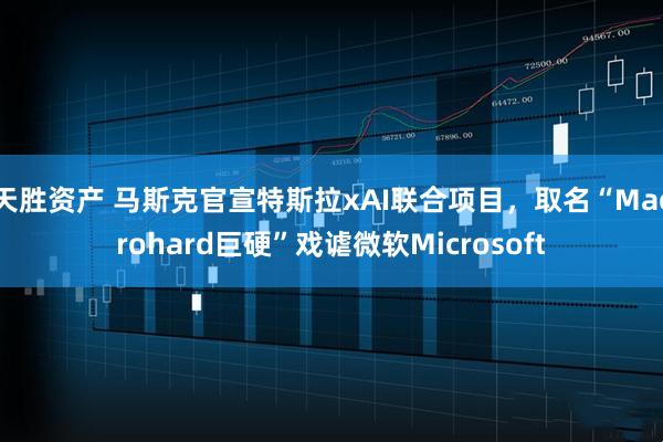 天胜资产 马斯克官宣特斯拉xAI联合项目，取名“Macrohard巨硬”戏谑微软Microsoft