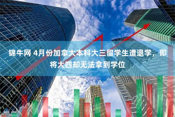 锦牛网 4月份加拿大本科大三留学生遭退学，即将大四却无法拿到学位