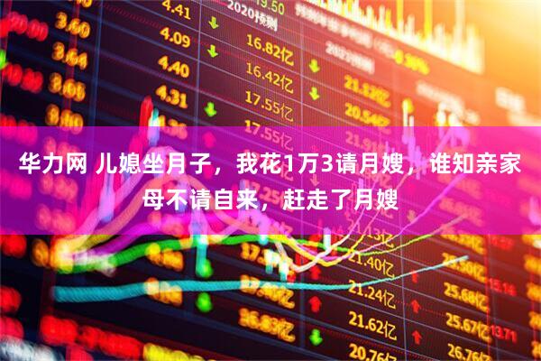 华力网 儿媳坐月子，我花1万3请月嫂，谁知亲家母不请自来，赶走了月嫂