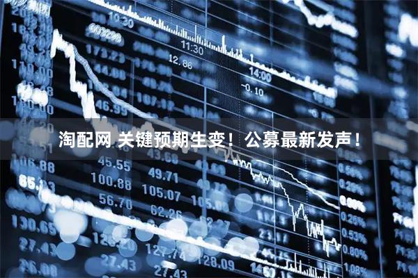 淘配网 关键预期生变！公募最新发声！