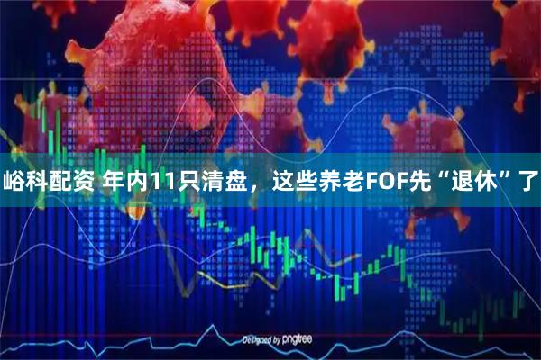 峪科配资 年内11只清盘，这些养老FOF先“退休”了