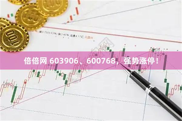 倍倍网 603906、600768，强势涨停！