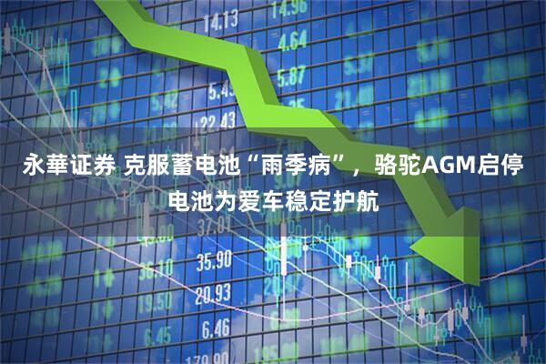 永華证券 克服蓄电池“雨季病”，骆驼AGM启停电池为爱车稳定护航