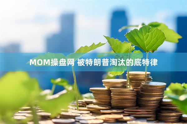 MOM操盘网 被特朗普淘汰的底特律
