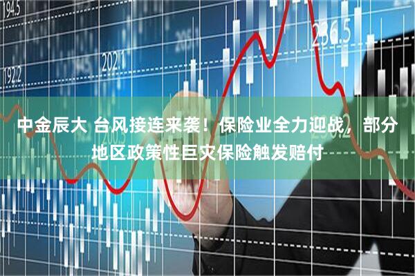 中金辰大 台风接连来袭！保险业全力迎战，部分地区政策性巨灾保险触发赔付