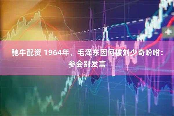 驰牛配资 1964年，毛泽东因何被刘少奇吩咐：参会别发言