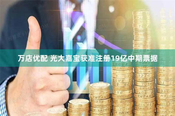 万店优配 光大嘉宝获准注册19亿中期票据